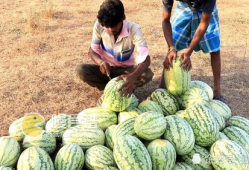 吃瓜网51爆料九台,揭秘娱乐圈背后的惊人内幕